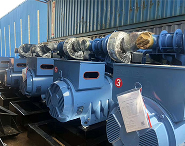 德科500KW/400V陸用發(fā)電機應(yīng)用于某養(yǎng)殖場項目