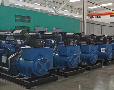 德科500KW/400V陸用發(fā)電機應(yīng)用于某養(yǎng)殖場項目