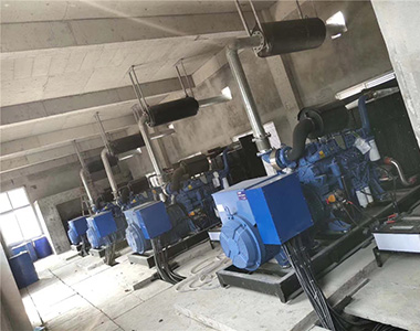 德科500KW/400V陸用發(fā)電機應(yīng)用于某養(yǎng)殖場項目