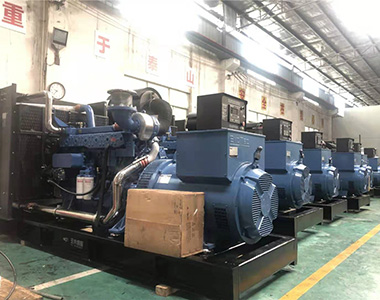 國內(nèi)某養(yǎng)殖項目指定批量采用德科500KW/400V陸用發(fā)電機